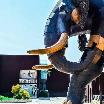 Bioparc Caf�
