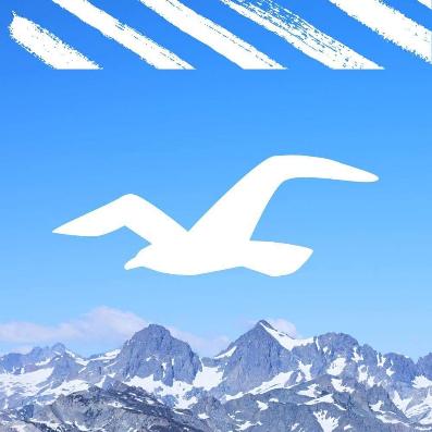 HollisterCo